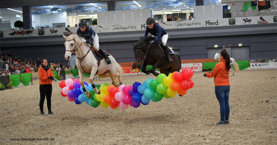 馬展,德國馬展,馬匹比賽 馬展,德國馬展,馬匹比賽